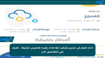 إنذار أصفر في عسير يشمل أبها وأحد رفيدة وخميس مشيط.. تعرف على التفاصيل الآن